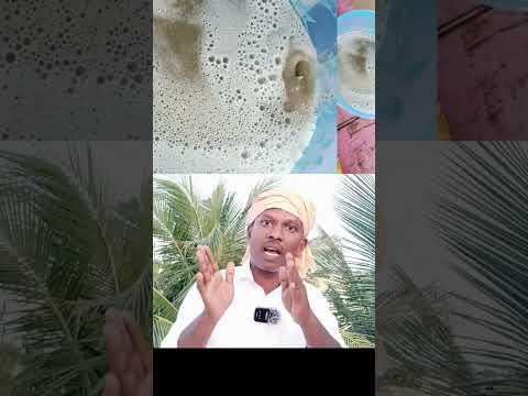 தெரிந்து கொள்ளுங்கள் உண்மையான கடலை எண்ணெய் #oil #shortsviral