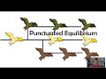 Punctuated Equilibrium and Gradualism Concepts