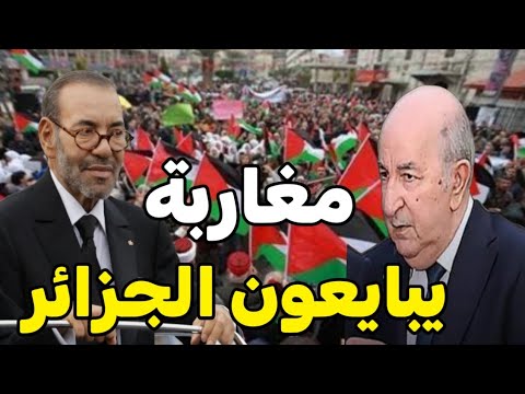 عاجل الجزائر تقود إنقلاب في المغرب و مغاربة يبايعون الجزائر ويخرجون للشارع العالم الأخر يهدد المغرب