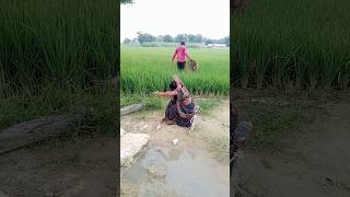 ऐसे चोरी कौन करेगा#shortvideo #shortsfeed #youtubeshorts #Suman Bhauji