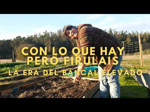 Así cultivamos 🍓 Frutillas | Comienza la era del huerto Firulais y un Budín de Pan #conloquehay