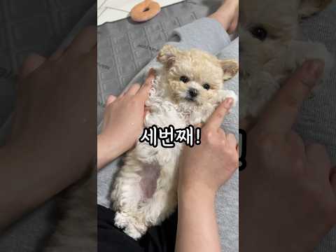 귀여운 날 키우기가 힘들다고??