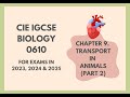 Circulatory System Functions and Structures