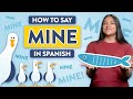 Understanding Possessive Adjectives and Pronouns in Spanish
