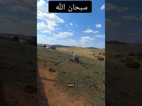 يَا أَيُّهَا الرُّسُلُ كُلُوا مِنَ الطَّيِّبَاتِ وَاعْمَلُوا صَالِحًا