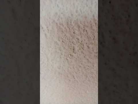 Mahelo ki rani dukh se begani lag jaye na dhup tujhe