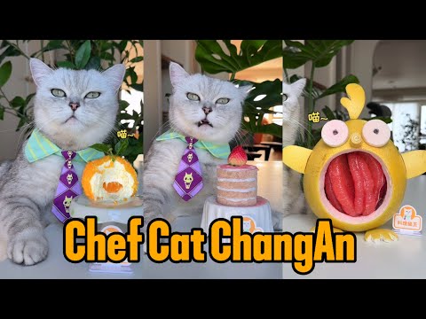 Cat-Chef Makes Beautiful And Fragrant Food|Cat Cooking Food|Cute And Funny Cat