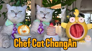 Cat-Chef Makes Beautiful And Fragrant Food|Cat Cooking Food|Cute And Funny Cat