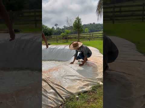 Limpeza na piscina do sítio🏠❤️