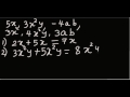 Understanding Like Terms and Operations