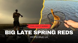 Big late spring REDS (Hopedale, LA)