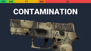 P250 Contamination Wear Preview