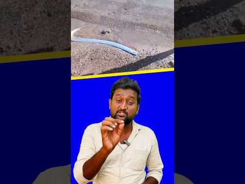 అరుదైన చేప వీడియో 22/02/25