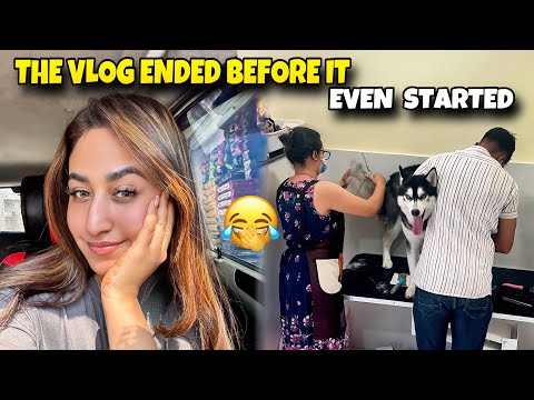 SHORTEST VLOG TILL NOW π #alizehjamali