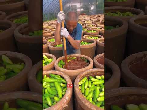 Cara Petani China Menaikan Harga Mentimun❗😮