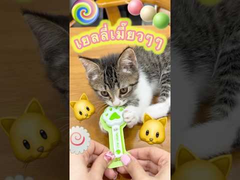 แมวเมี๊ยวจะกินเยลลี่ 🐱🍡🍥🍭 #มาดูมุกดา #รีวิว #unboxing