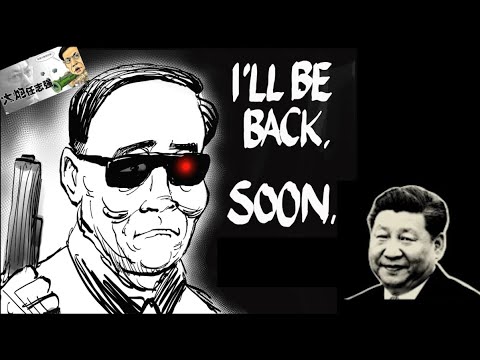 元老逼宫王岐山扮演什么角色？他跟习近平为何从知青好友中南海盟友到最终反目成仇？《建民論推墙2733》