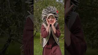 Kdo má ježky rád? Ať se přihlásí 🖐🏻 protože je náš kamarád 🦔🤎 #bibibum #pisnickyprodeti
