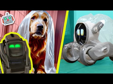 Pranking Pet Bot Loona with Pet Pranks