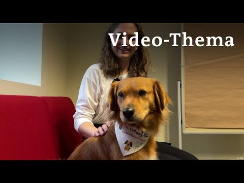 Deutsch lernen mit Videos | Wie ein kleiner Hund Studierenden hilft | mit deutschen Untertiteln