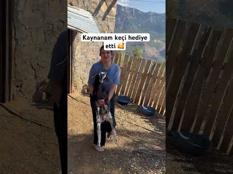 Zengin oldum 🤣