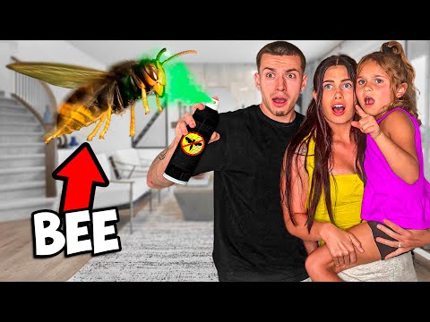 Fighting A Killer BEE In Our HOUSE!!