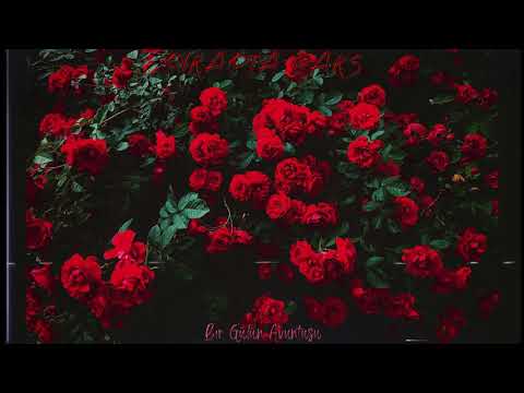 Pikapta Raks - Bir Gülün Avuntusu