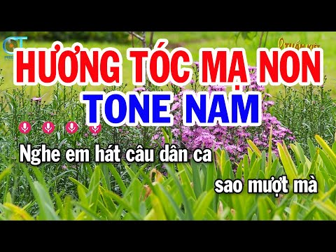 Karaoke Hương Tóc Mạ Non Tone Nam ( Em ) Nhạc Sống Hay | Karaoke Tuấn Kiệt