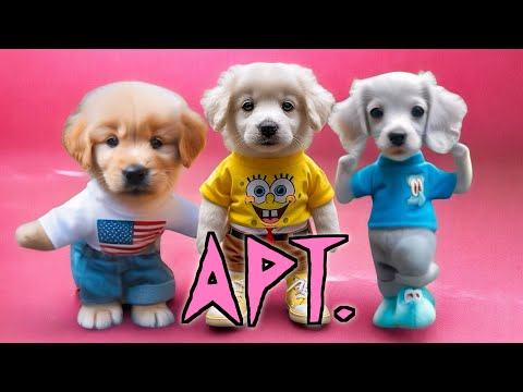 DOG DANCE APT. ROSÉ & BRUNO MARS NEW VERSION (Dog Dance Video)