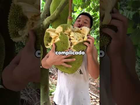 ¿Qué te pareció genial de niño, hasta que descubriste que era ilegal?