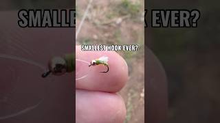 What’s the SMALLEST fish you’ve ever caught? 🎣