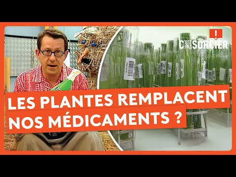 Les plantes remplacent nos médicaments ? - C'est pas sorcier