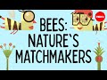 Understanding Plant-Pollinator Networks