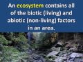 Exploring Levels of Organization in Ecosystems