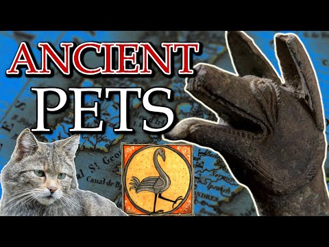 Ancient Pets of Britain and Ireland