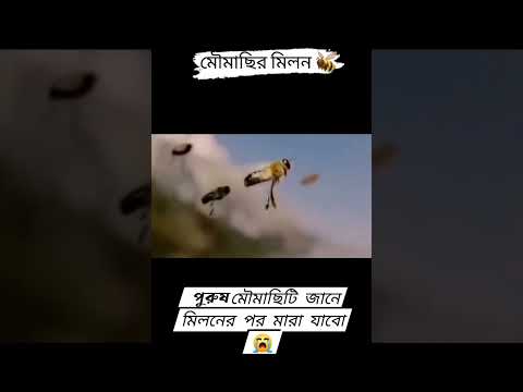 কি অদ্ভুত নিয়ম।🥹বইতে তো অনেক পড়েছো এবার স্বচক্ষে দেখো✅#experiment #trending
