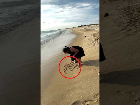 Those who don't believe in god, look at this #shortsvideo