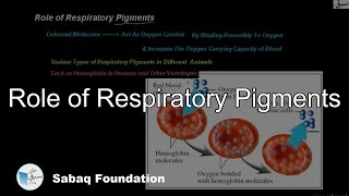Role of Respiratory Pigments