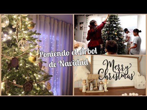 Decorando el Arbolito de Navidad y la sala