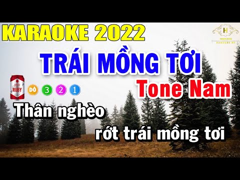 Trái Mồng Tơi Karaoke Tone Nam Nhạc Sống | Trọng Hiếu