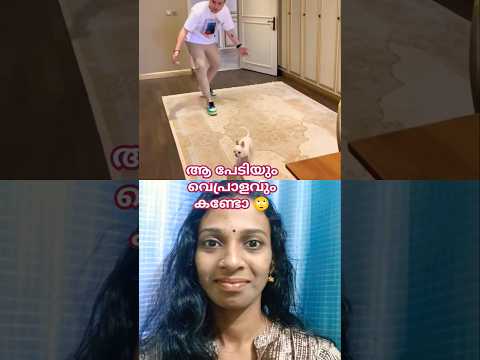 എന്താ ഒരു സ്നേഹം അല്ലേ..🥰 #dog #animals #pets #petshub #shortvideo #doglover#love #malayalamreaction