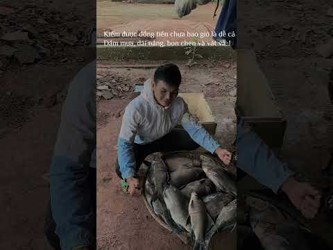 Cảm ơn cả nhà đã ủng hộ em ạ #truyen93vlog #songdongnai#xuhuongyoutube