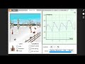 Rabbit Population Dynamics and Factors