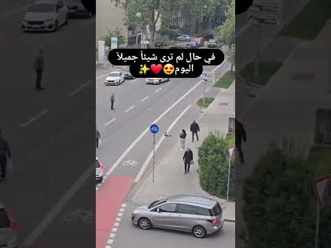 #اكسبلور #السعوديه #ضحك #النظافه #funny #ورك #قطط #اكلتك #cat #التغطيه