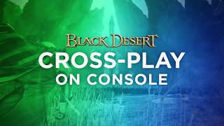 Black Desert getting cross-play support for consoles