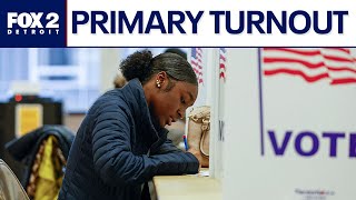 Michigan August primary turnout by the numbers