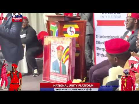 H.E PRESIDENT BOBI WINE AND THE REASON WHY THEY LOVE HIM IN UGANDA AND AFRICA