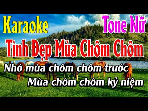 Tình Đẹp Mùa Chôm Chôm Karaoke Tone Nữ Karaoke Lâm Organ – Beat Mới