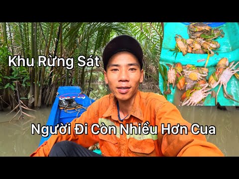 Khiếp Sợ Trong Khu Rừng Sát Này Nghề Mưu Sinh Vào Bắt Cua Muốn Bủn Rủn Người Nhiều Hơn Cua