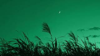 ＣＡＬＭ　2　ＡＭ